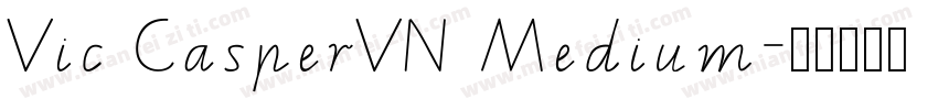 Vic CasperVN Medium字体转换